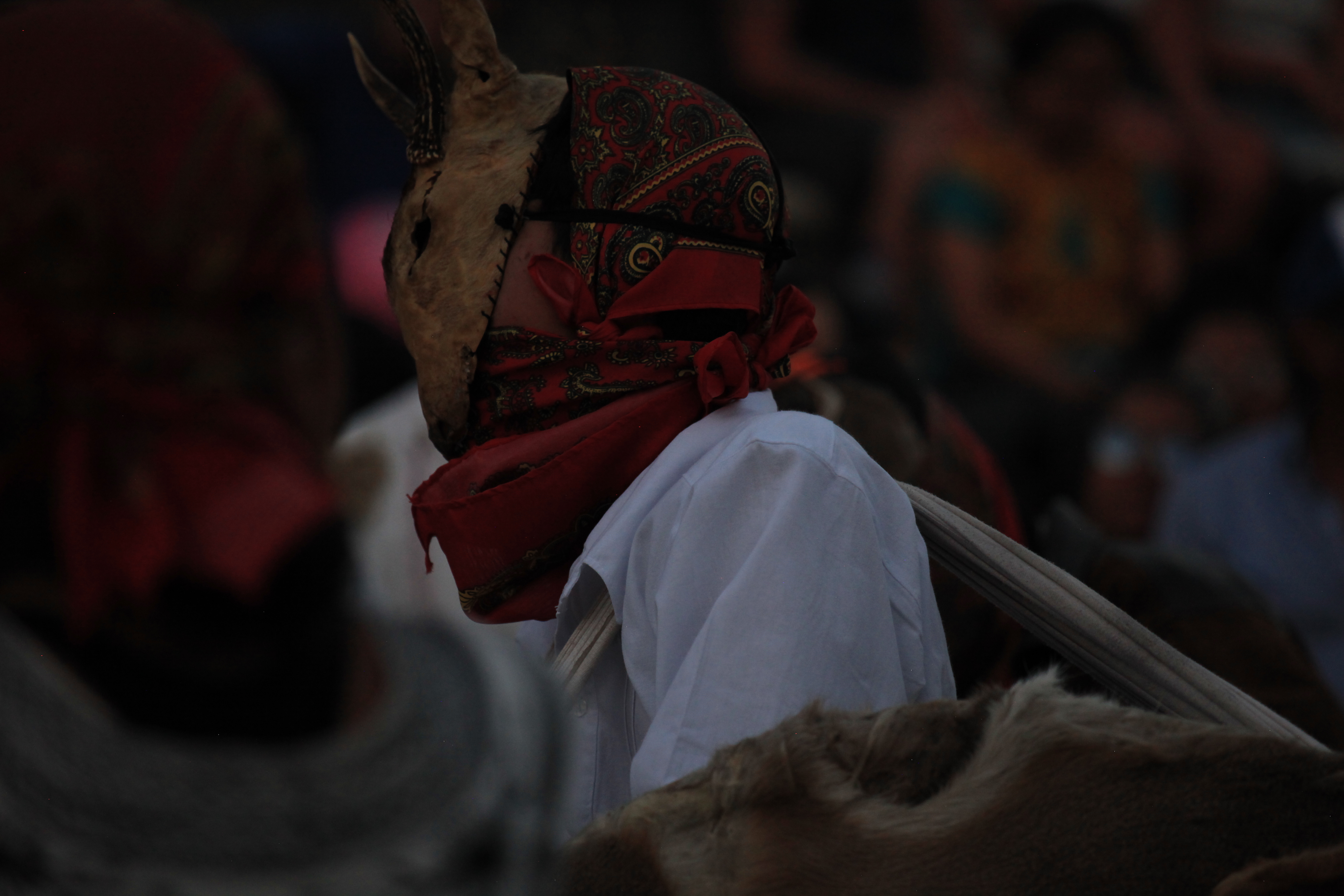 Oaxaca Editorial 8