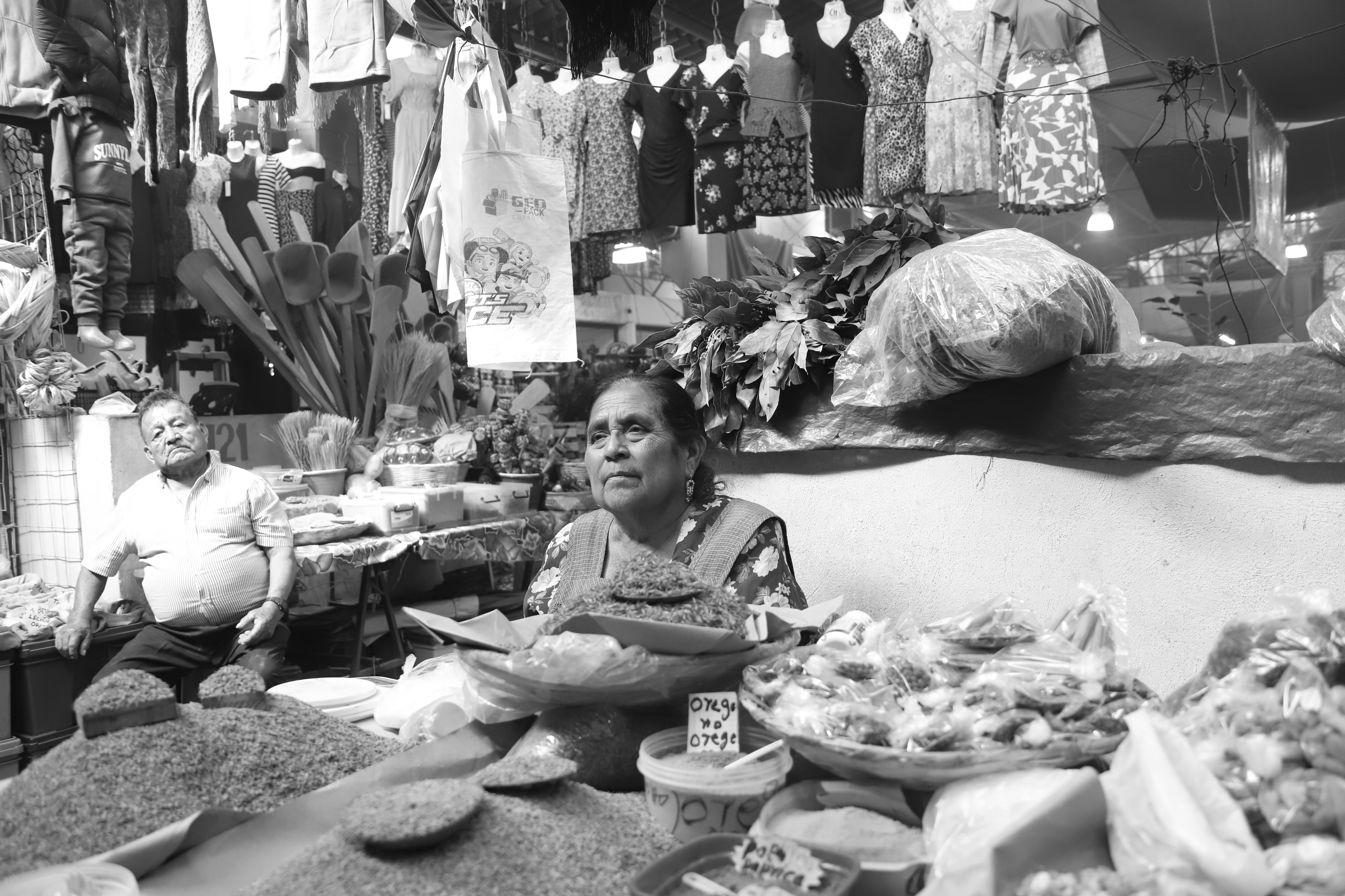 Oaxaca Editorial 2